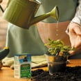 thumbnail image 2 of Schultz All-Purpose Liquid Plant Food 10-15-10 150 g, 2 of 4