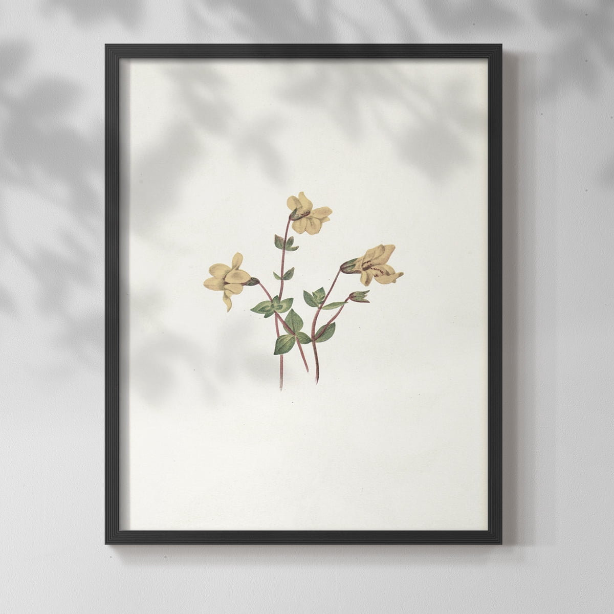 Vintage Floral Print CLXVI - 14in. x 11in. Vintage Framed Print in Black Wood Frame