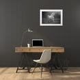 thumbnail image 3 of The Yellowstone Collection 24x17 White Modern Wood Framed Museum Art Print Titled - Galloping White, 3 of 4