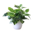 thumbnail image 1 of Baohd Artificial Potted Plant Leaf Simulation Leaves Home Office Desktop Greenery Decoration, Plant Type 13, 1 of 7
