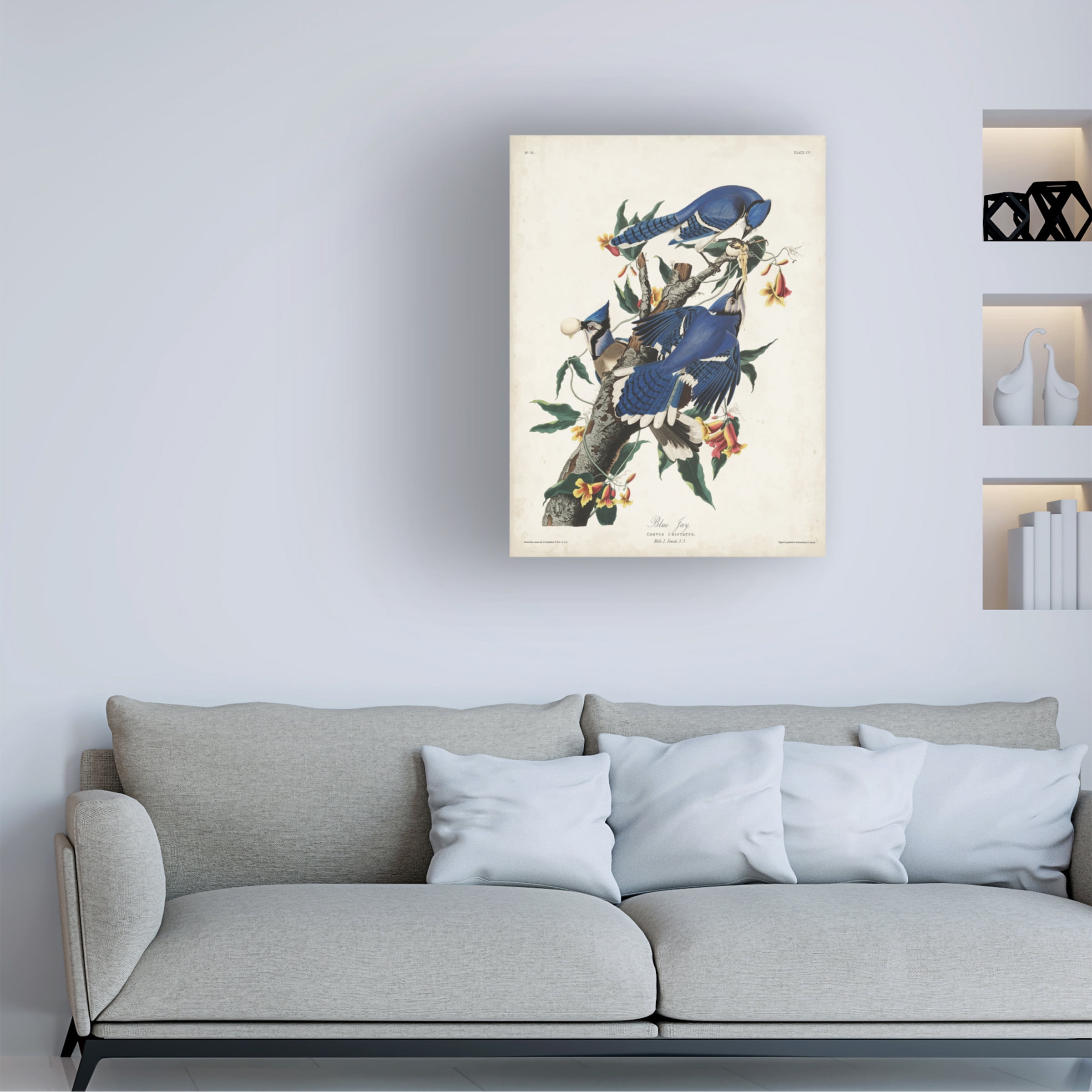 John James Audubon 'Blue Jay' Canvas Art