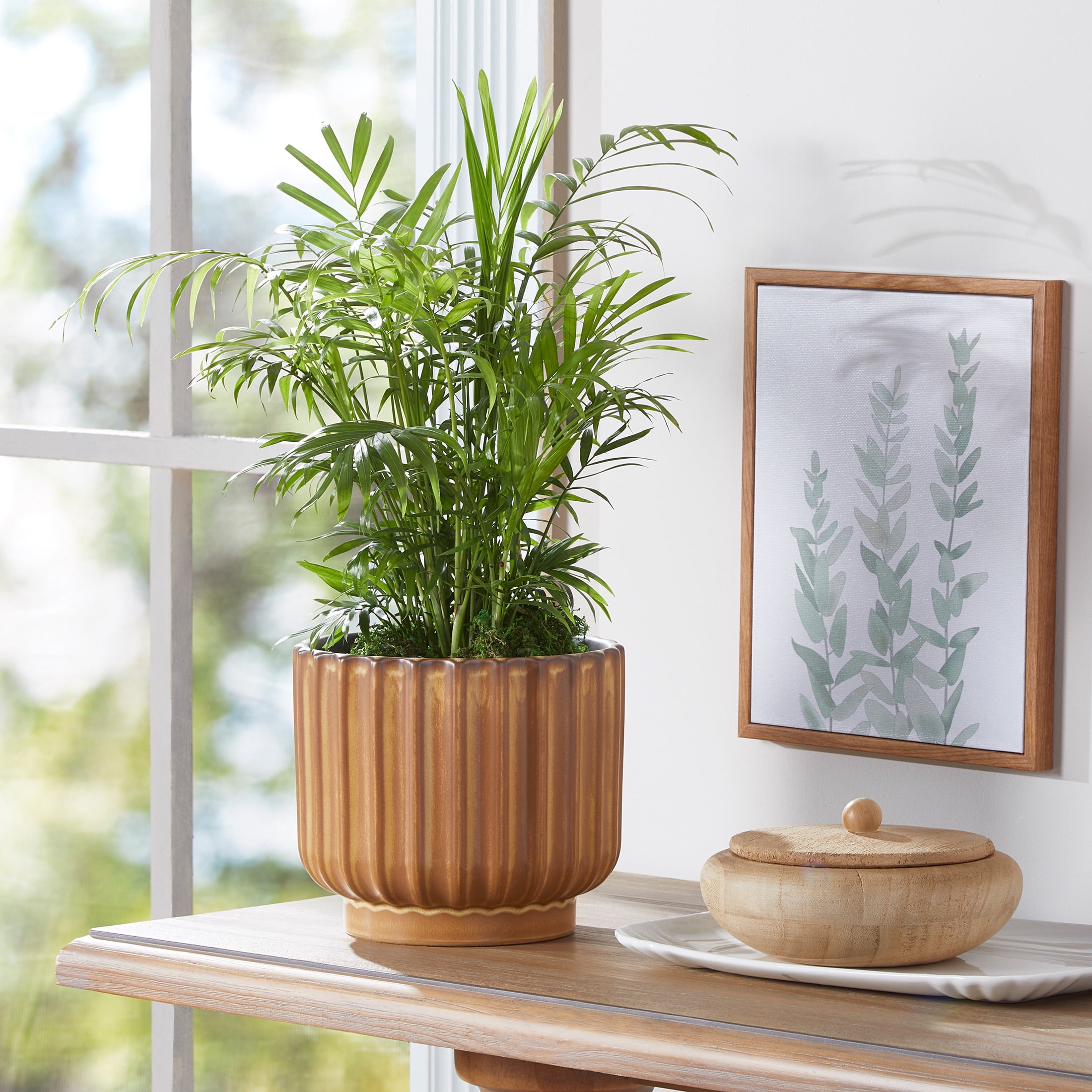Better Homes & Gardens Paul Planter, Copper, Ceramic, 6 in