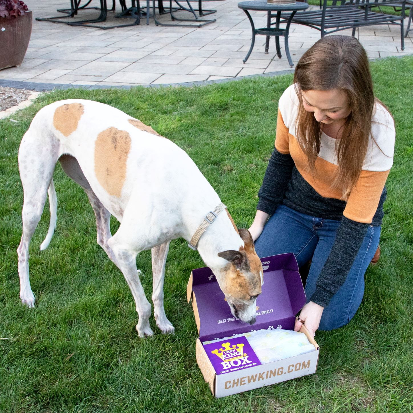 Chew King By Mammoth Dog Toy Box x-Large- Durable Fetch Balls, Treater and Chewing Toy Collection
