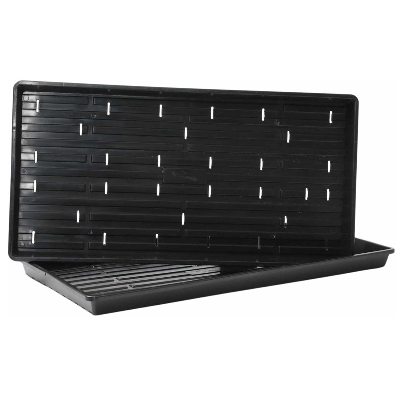 Microgreen 1020 Trays, Shallow Extra Strength 10 Pack Seed Tray with Holes - Grow Fodder, Wheatgrass, Sprouting, Plants Growing