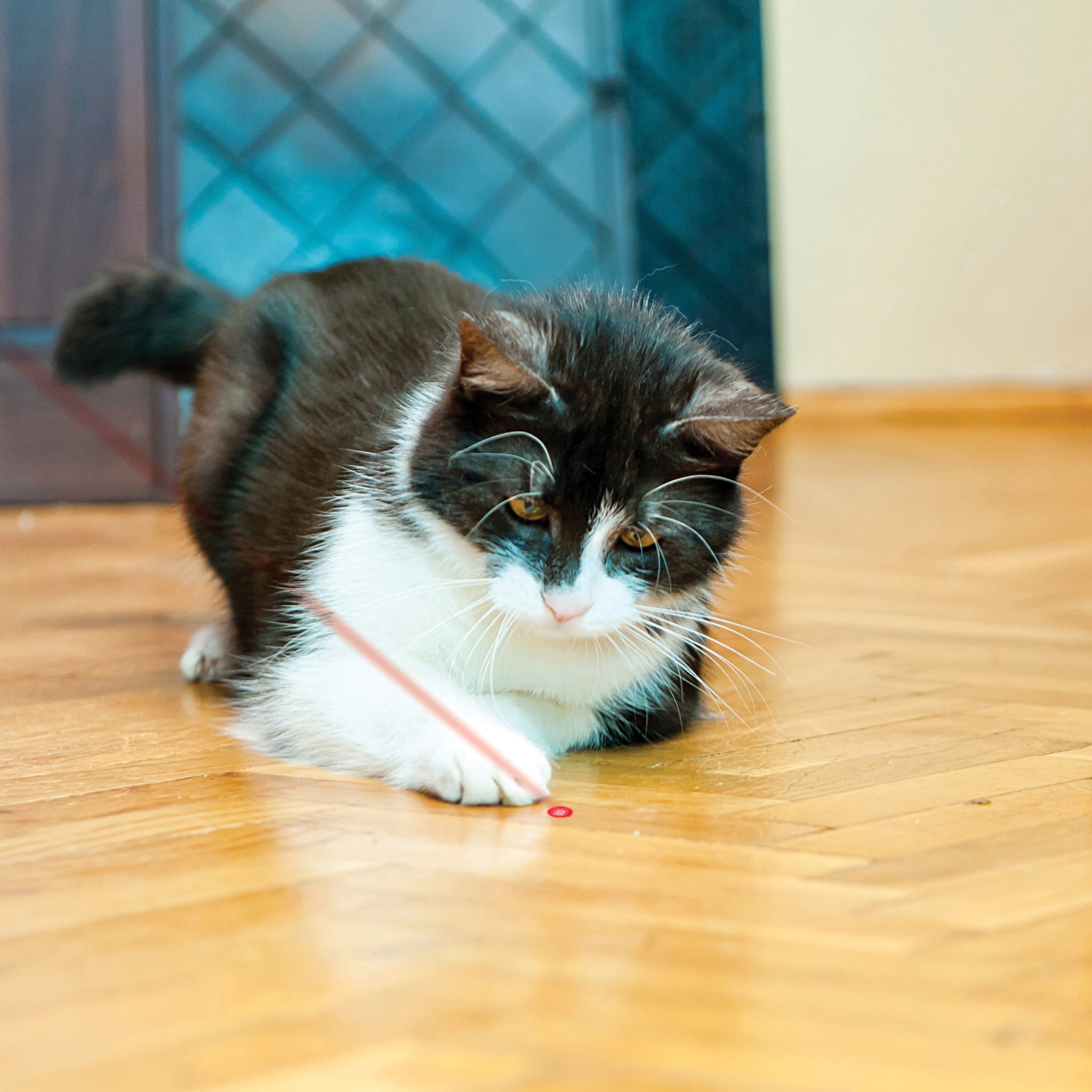 KONG® Laser Interactive Cat Toy