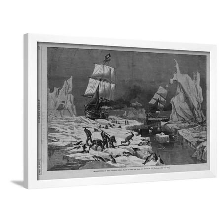 Seal Hunting in the Northern Seas. Drawn by Schell and Hogan, from Sketches by J.W. Hayward. See Pa Framed Print Wall
