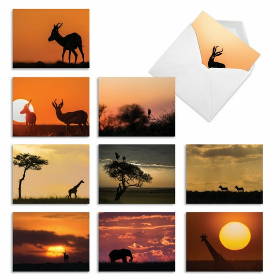 10 All Occasion Blank Note Cards Pack (4 x 5.12 Inch) - SAFARI SUNSETS M6551OCB