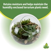 Joshs Frogs Terrarium Soil (1 Quart)