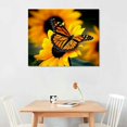 thumbnail image 2 of BCIIG Monarch Butterflies On Sunflowers Decorative Wall Art  Pictures Canvas Prints plant Colorful  for Home Art Print for Living Room Bedroom Unframed 20"x16" 20x16in, 2 of 6