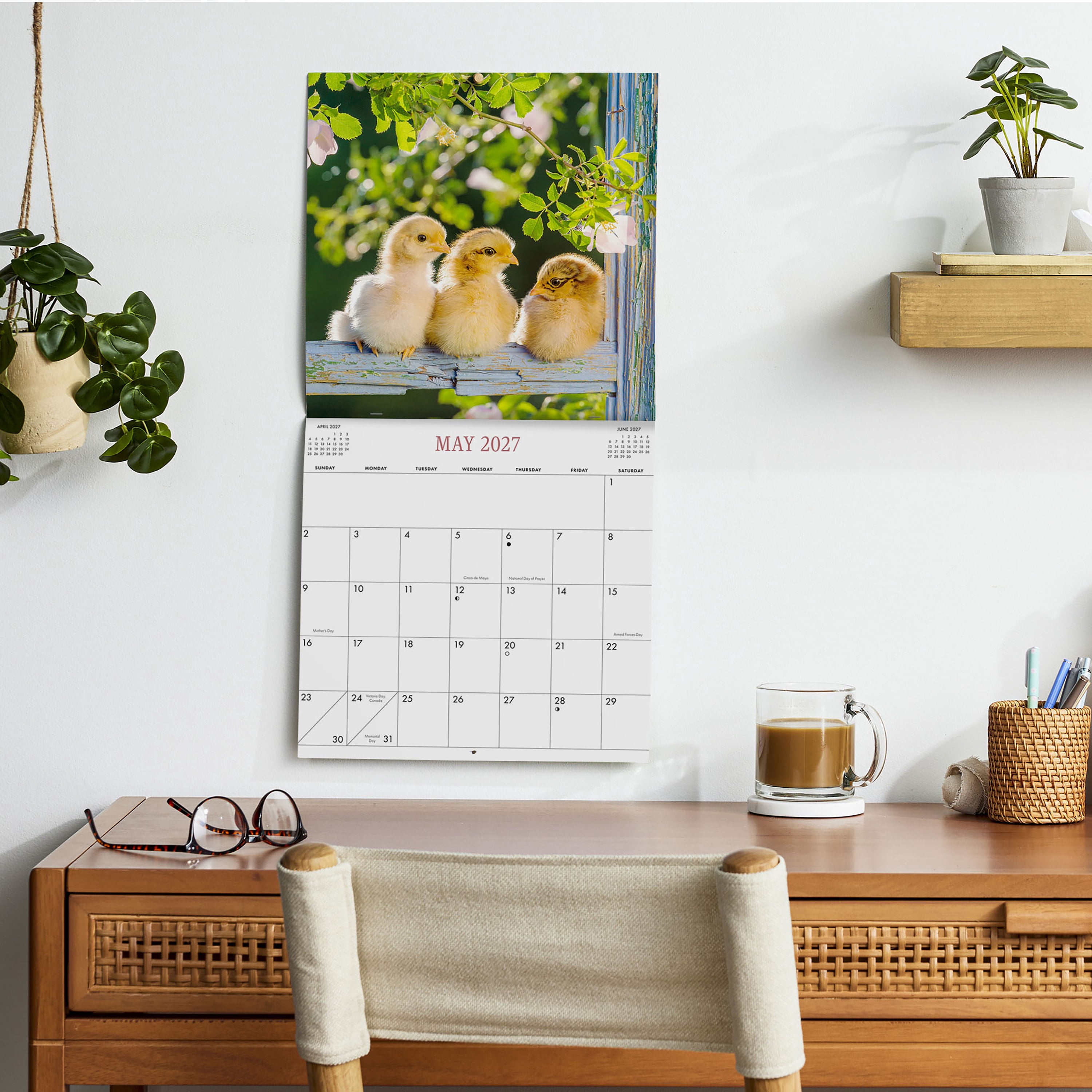 2027 Chickens Wall Calendar 12x12 January-December Gridded