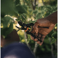 thumbnail image 4 of DRHACE-Bypass pruning shears, 4 of 4