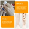 thumbnail image 2 of EeaseMX 1 juego de modelo de torso humano, modelo de órganos del cuerpo humano, juguete de ensamblaje, muñeca de anatomía, 2 of 7