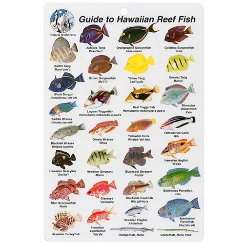 hawaiian fish