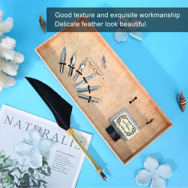 Pluma estilográfica, kit de pluma caligráfica de estilo simple vintage, caja de regalo, apariencia llamativa