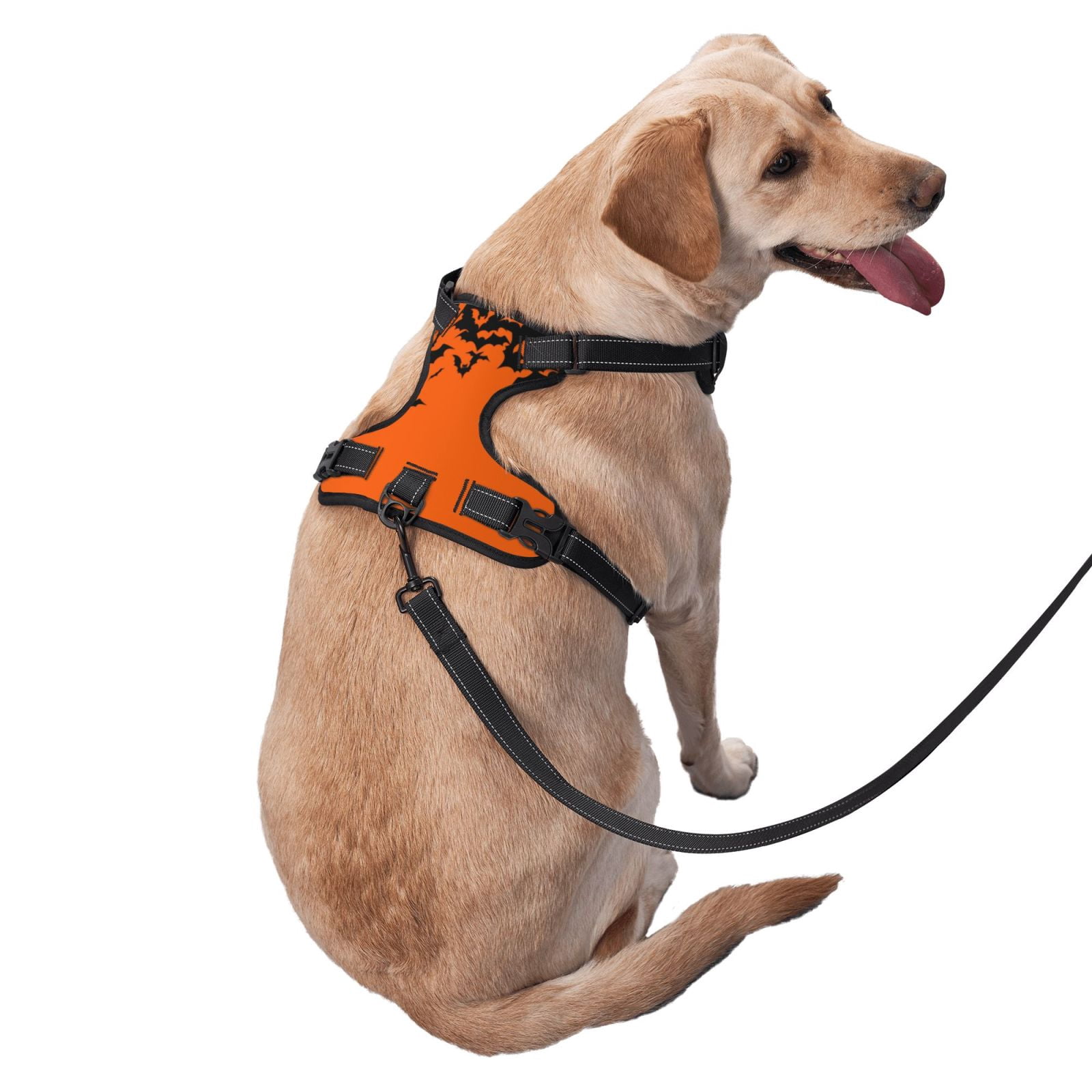 Fuzoiu Halloween With Black Bats Print Reflective Dog Harness,Adjustable, Breathable Pet Vest,Dog Harness No Pull,No Choke Pet Vest for Small, Medium, and Large Dogs-Small