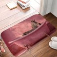 thumbnail image 3 of 1pc A zebra in a pink bathtub Absorbent Non-Slip Bathroom Thickened Flannel Rug Decor,Soft,Quick Drying,Suitable For Indoor/outdoor Use,Bathrooms,Bedrooms,Kitchens,Terrace,Laundry Rooms,16"x24", 3 of 9