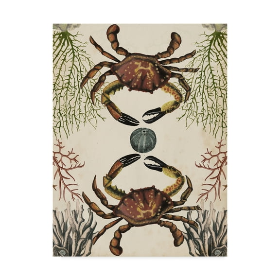Trademark Fine Art 'Antiquarian Menagerie Crab' Canvas Art by Naomi McCavitt