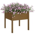 thumbnail image 3 of Jardineras VidaXL, madera maciza de pino, color marrón miel, 70 x 70 cm, 3 of 8