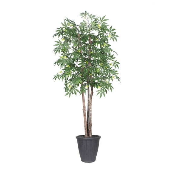 Vickerman TDX1860-RG 6 ft. Japanese Maple Deluxe Round Everyday Tree Container, Green & Grey