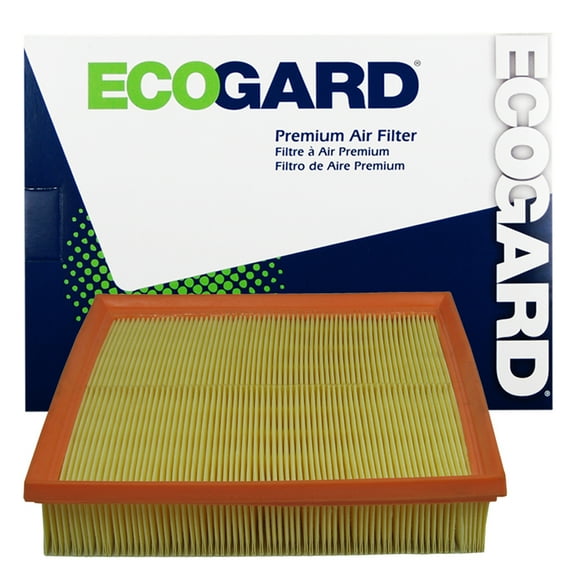 ECOGARD XA5603 Premium Engine Air Filter Fits 2006-2011 Chevrolet Impala, 2006-2007 Monte Carlo, 2005-2008 Pontiac Grand Prix, 2008-2009 Buick LaCrosse, Allure