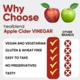 thumbnail image 3 of Healblend Apple Cider Vinegar Gummies - ACV 1000mg Advanced Weight Loss, Metabolism Booster, Antioxidant Support Supplement with Vitamin B12, for Women & Men 3-Pack, 3 of 13
