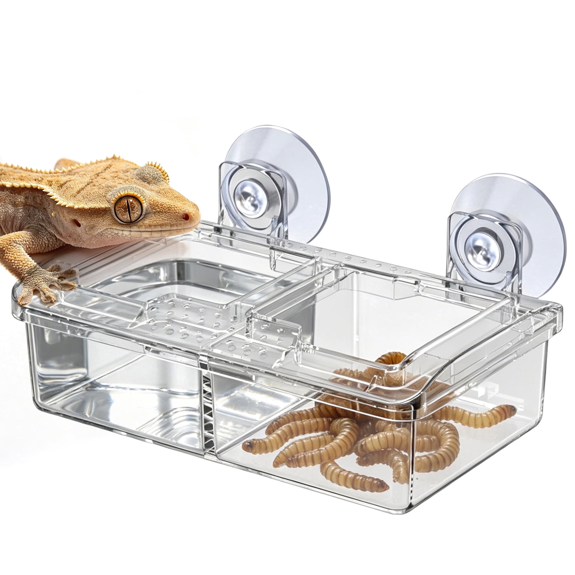 Escape Proof Reptile Feeding Dish with Suction Cups, 2-in-1 Feeder for Geckos, Clear Plastic