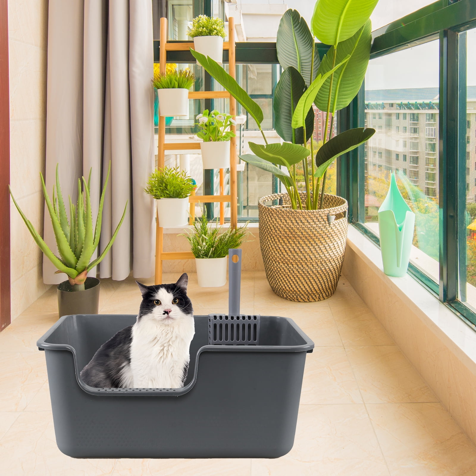 Afromy 4-Pack Plastic High Wall Cat Litter Box with Scoop, Open Air Kitty Litter Pan,  Gray