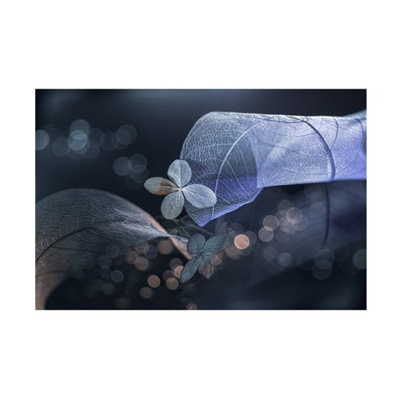 Canvas Wall Art - Igor Kopcev 'Fantasasa De Invierno' Wall Art for Living Room, Bedroom, or Office Décor by Trademark Fine Art - 19 x 12 Inches