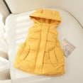thumbnail image 4 of Kids Girls Boys Puffer Vest Girls Vest Stand Collar Lightweight Zip Up Puffer Jacket Sleeveless Kids Winter Jacket 3-4 Years, 4 of 5