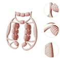 thumbnail image 5 of EHJRE Leg Massager Roller Calf Massage Tool Handheld 360 Degree Leg Clamp Deep Tissue Massage for Sports Indoor Fitness Gym Friends Pink, 5 of 8