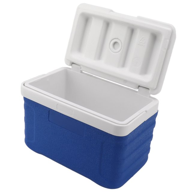 Boîte de Refroidissement pour Insuline Isolation Maison Système de Refroidissement Sans Effort pour Véhicule Récréatif Conservation des Aliments Cave à Vin Réfrigérateur
