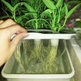 thumbnail image 4 of Caja de cultivo para sistema hidropónico, caja de cultivo de plantas con 11 orificios, caja de cultivo hidropónico con orificios, confiabilidad excepcional, 4 of 12