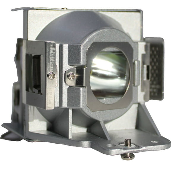 Advanced Lamps™ Lamp & Housing for The Viewsonic PJD6383s Projector - 1 Unit per pack