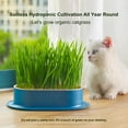 thumbnail image 4 of Cat Grass Planter Hydroponic Cat Grass Growing Kit (No Seeds Included) Catnip Wheatgrass Seed Sprout, 4 of 8