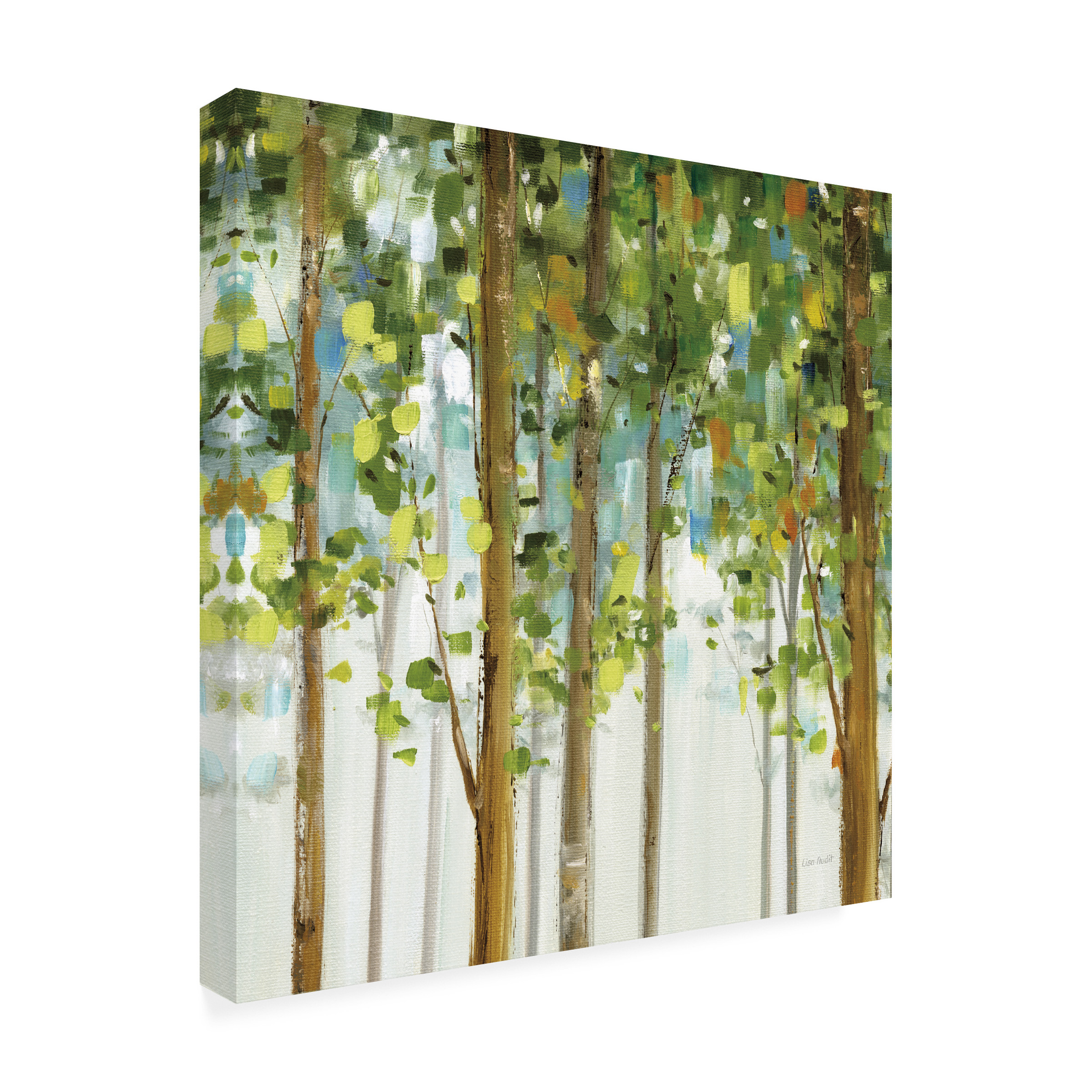 Trademark Fine Art 'Forest Study II' Canvas Art by Lisa Audit