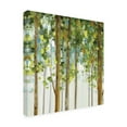 thumbnail image 4 of Trademark Fine Art 'Forest Study II' Canvas Art by Lisa Audit, 4 of 4