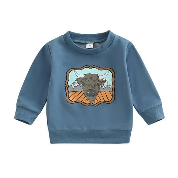 Durtebeua Sweatshirts For Teen Boys Fashion Pullover Sweatshirts Novelty Pattern Hoodies 6-12 Months