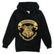 thumbnail image 2 of Sudaderas de Harry Potter para niños y niñas, suéteres con capucha de manga larga, ropa de moda para niños, regalos de cumpleaños, 2 of 4
