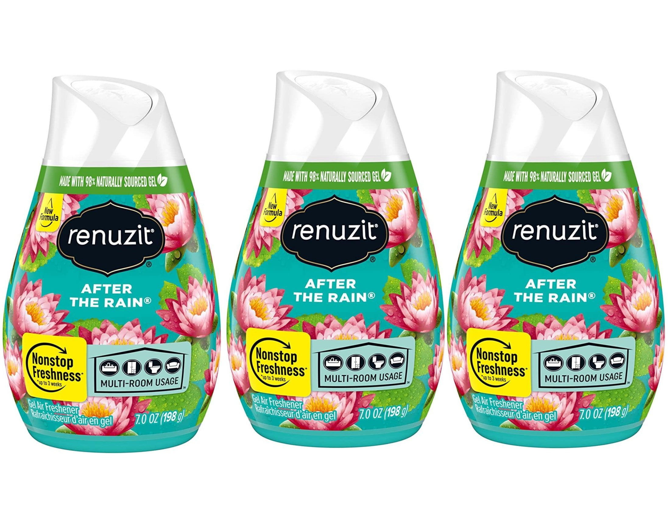 CGT Renuzit After the Rain Gel Air Freshener Summer Spring NonStop