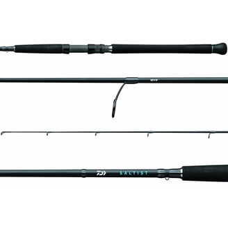 double handle fishing reel TLD30IIA TLD 2-Speed Shimano Style:Spin-6'6