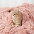 thumbnail image 4 of Winter Warm Small/Medium Puppy Cats Dogs Carpet Fluffy Plush Pet Soft Blanket, 4 of 8