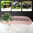 thumbnail image 3 of Bobasndm Turtle Tank with Lid, Plastic Turtles Fish Tank Habitat with Plant Platform, Turtle Aquarium with Lid, Basking Platform, Terrapin Lake to Prevent Climbing for Crawfish, 3 of 9