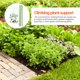 thumbnail image 4 of Marco de soporte para plantas, enrejado para jardín, rosales, estacas para tomates, soporte para plantas en maceta, modelado, 4 of 6