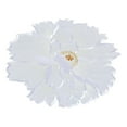 thumbnail image 1 of HEVIRGO Placemat Good Heat Insulation Non-slip Washable Flower Embroidery Lace Kitchen Dining Table Place Mat for Home Polyester, 1 of 8