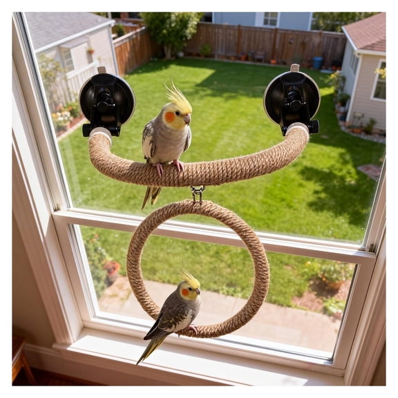 Bird Perch Window Stand, Suction Cup Bird Perch for Parakeets Cockatiels Conure