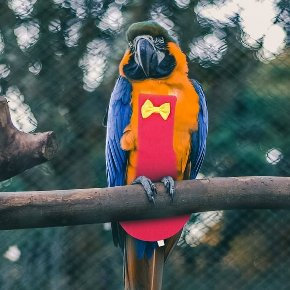 KAKOWELY 1 Set Breathable Flight Suit Parrot Diaper for Parakeets and Cockatiels 6.7x3.5in