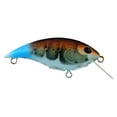 thumbnail image 2 of Berkley Shallow Money Badger Fishing Crankbait, 2.1 in, Hybrid Baitfish-Crayfish, 2 of 6