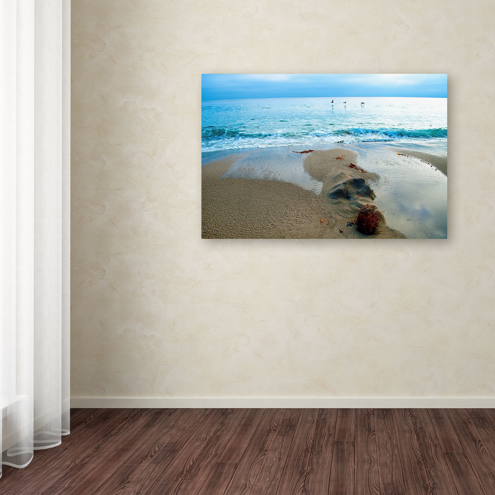 Trademark Fine Art 'Zuma Beach, Ca' Canvas Art by Lori Hutchison