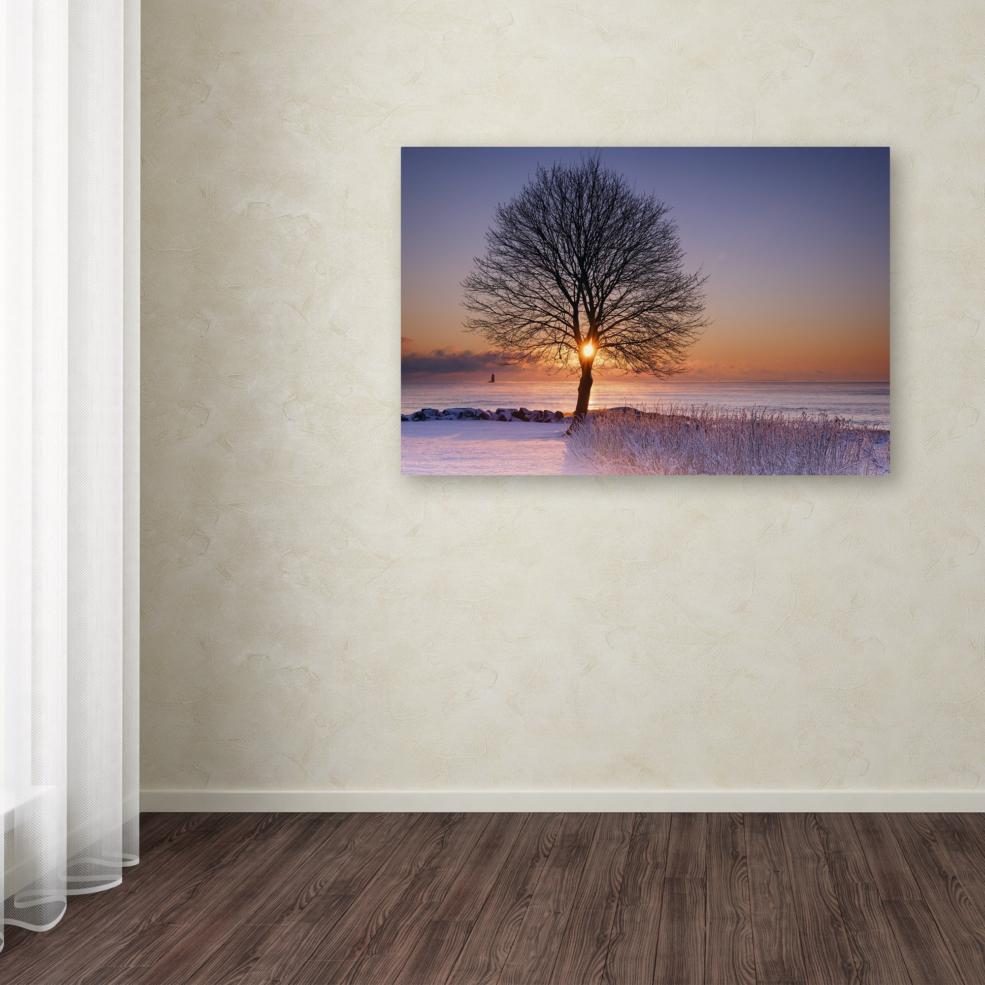 Trademark Fine Art "Tree Burst" Canvas Art by Michael Blanchette Photography