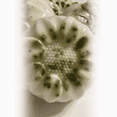 thumbnail image 2 of Nourishing Shampoo Bar, 2 of 2